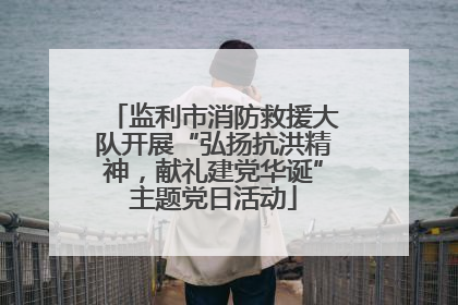 监利市消防救援大队开展“弘扬抗洪精神，献礼建党华诞”主题党日活动