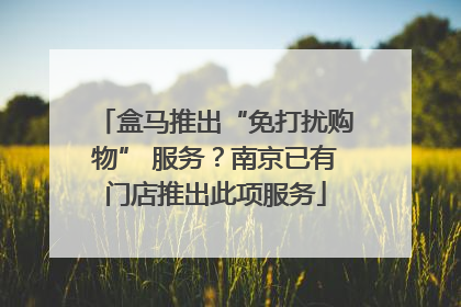 盒马推出“免打扰购物” 服务？南京已有门店推出此项服务