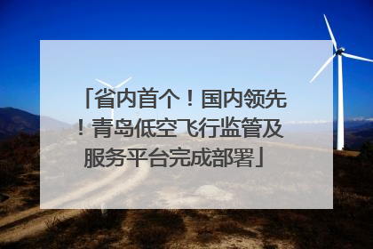 省内首个！国内领先！青岛低空飞行监管及服务平台完成部署
