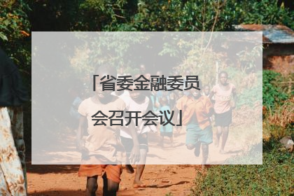 省委金融委员会召开会议
