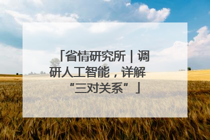 省情研究所｜调研人工智能，详解“三对关系”