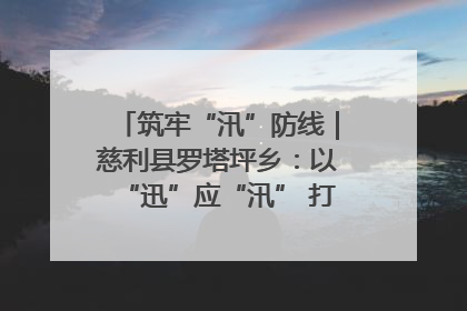 筑牢“汛”防线｜慈利县罗塔坪乡：以“迅”应“汛” 打赢暴雨防御战