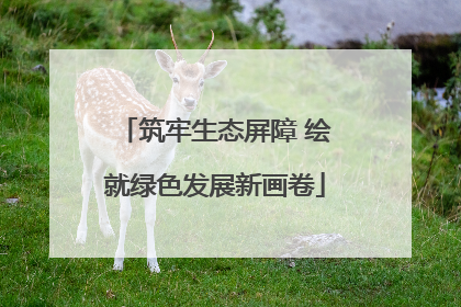 筑牢生态屏障 绘就绿色发展新画卷