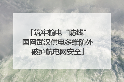 筑牢输电“防线” 国网武汉供电多维防外破护航电网安全