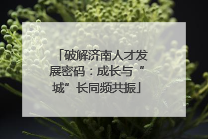 破解济南人才发展密码：成长与“城”长同频共振