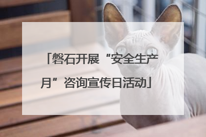磐石开展“安全生产月”咨询宣传日活动