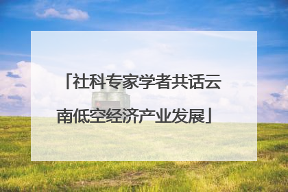 社科专家学者共话云南低空经济产业发展