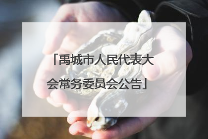禹城市人民代表大会常务委员会公告