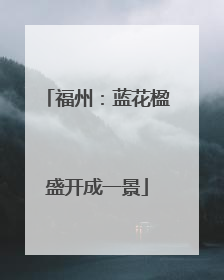 福州：蓝花楹盛开成一景