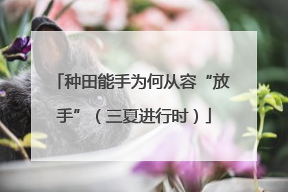 种田能手为何从容“放手”（三夏进行时）