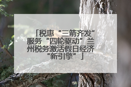 税惠“三箭齐发”服务“四轮驱动”兰州税务激活假日经济“新引擎”