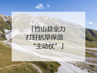 竹山县全力打好抗旱保苗“主动仗”