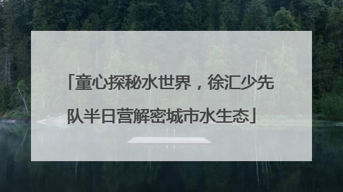 童心探秘水世界，徐汇少先队半日营解密城市水生态