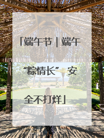 端午节｜端午“粽情长” 安全不打烊