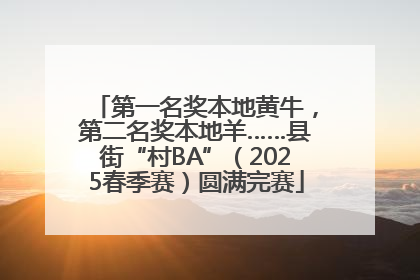 第一名奖本地黄牛，第二名奖本地羊……县街“村BA”（2025春季赛）圆满完赛