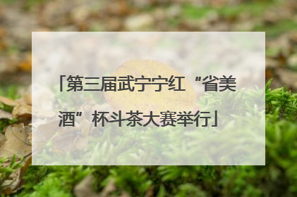 第三届武宁宁红“省美酒”杯斗茶大赛举行