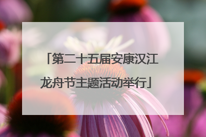 第二十五届安康汉江龙舟节主题活动举行