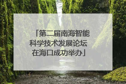 第二届南海智能科学技术发展论坛在海口成功举办
