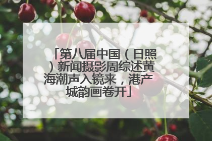 第八届中国（日照）新闻摄影周综述黄海潮声入镜来，港产城韵画卷开