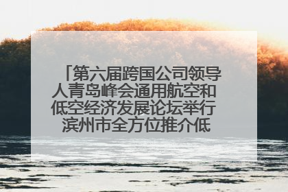 第六届跨国公司领导人青岛峰会通用航空和低空经济发展论坛举行 滨州市全方位推介低空经济发展优势