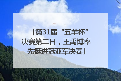 第31届“五羊杯”决赛第二日，王禹博率先挺进冠亚军决赛