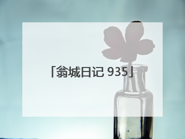 翁城日记 935