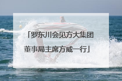 罗东川会见方大集团董事局主席方威一行
