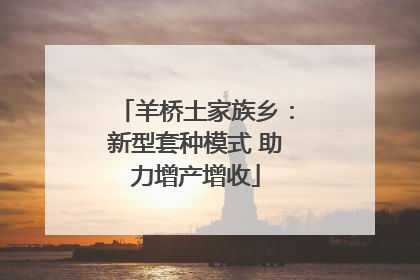 羊桥土家族乡：新型套种模式 助力增产增收