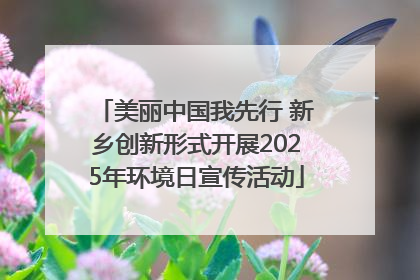 美丽中国我先行 新乡创新形式开展2025年环境日宣传活动