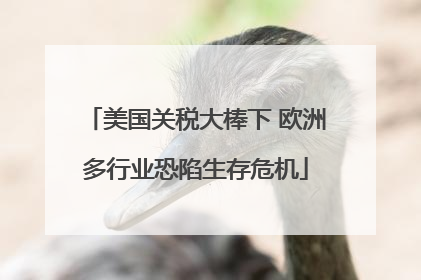 美国关税大棒下 欧洲多行业恐陷生存危机