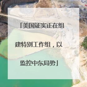 美国证实正在组建特别工作组，以监控中东局势