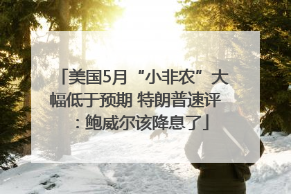 美国5月“小非农”大幅低于预期 特朗普速评：鲍威尔该降息了
