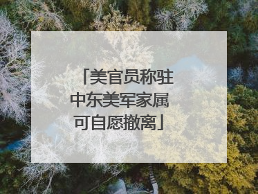 美官员称驻中东美军家属可自愿撤离