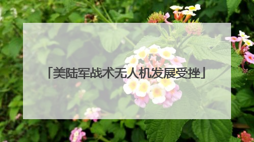 美陆军战术无人机发展受挫