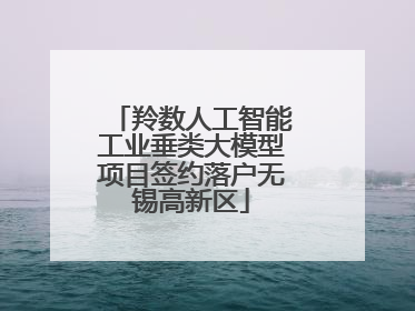 羚数人工智能工业垂类大模型项目签约落户无锡高新区