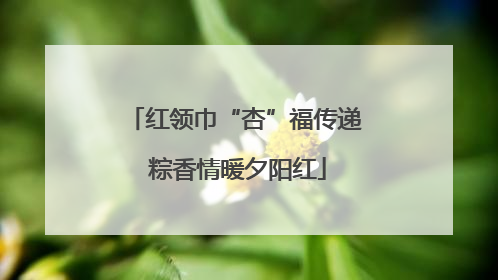 红领巾“杏”福传递 粽香情暖夕阳红