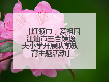 红领巾，爱祖国 江油市三合镇逸夫小学开展队前教育主题活动