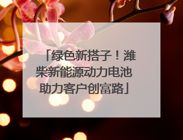 绿色新搭子！潍柴新能源动力电池助力客户创富路