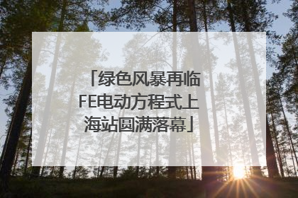 绿色风暴再临 FE电动方程式上海站圆满落幕