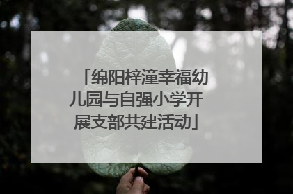 绵阳梓潼幸福幼儿园与自强小学开展支部共建活动