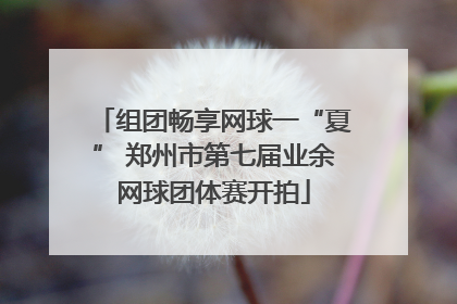 组团畅享网球一“夏” 郑州市第七届业余网球团体赛开拍