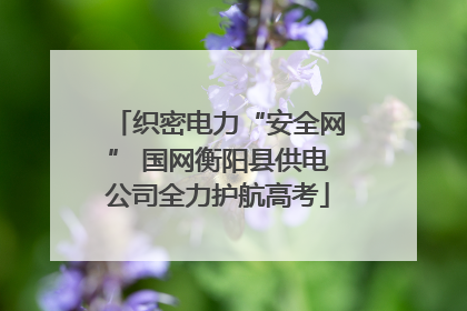 织密电力“安全网” 国网衡阳县供电公司全力护航高考