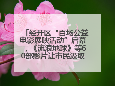 经开区“百场公益电影展映活动”启幕，《流浪地球》等60部影片让市民汲取奋进力量