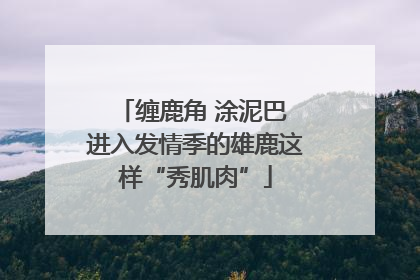缠鹿角 涂泥巴 进入发情季的雄鹿这样“秀肌肉”