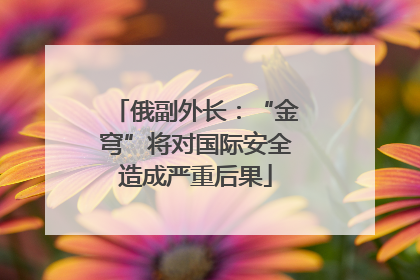 俄副外长：“金穹”将对国际安全造成严重后果