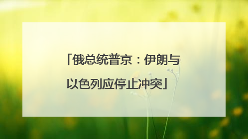 俄总统普京：伊朗与以色列应停止冲突