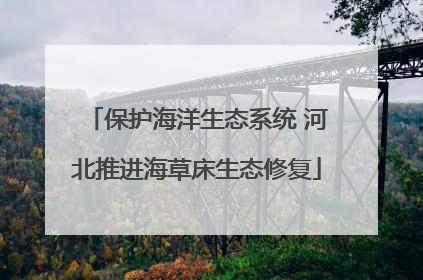 保护海洋生态系统 河北推进海草床生态修复