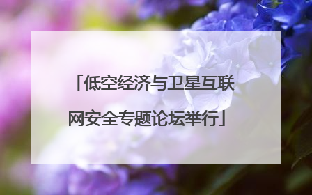 低空经济与卫星互联网安全专题论坛举行