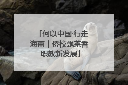 何以中国·行走海南｜侨校飘茶香 职教新发展