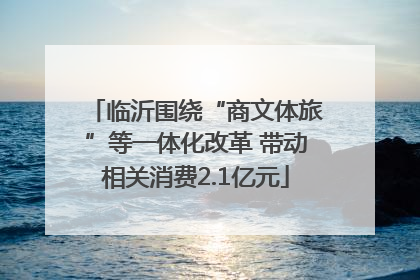 临沂围绕“商文体旅”等一体化改革 带动相关消费2.1亿元